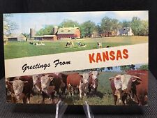 POSTCARD: Greetings From Kansas Cows In Pasture D8￼ picture
