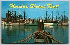 Florida Shrimp Fleet Scenic Docks Fishing Boats Chrome UNP Postcard picture