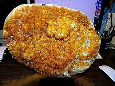 LG. POLISHED CITRINE CRYSTAL CLUSTER GEODE FROM BRAZIL CATHEDRAL W/ STEEL BASE  picture