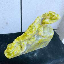 10.3LB Natural jasper stone lizard carving Quartz Crystal Energy skull Healing picture