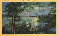 Thousand Islands NY Moonlight St Lawrence River Postcard Unposted Hallam Vesta picture