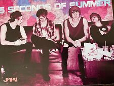 Five Seconds of Summer, 5SOS, Ariana Grande, Double Full Page Vintage Pinup picture