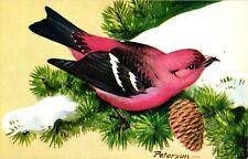 White Winged Crossbill Bird Chrome Postcard National Wildlife Federation 1957 picture