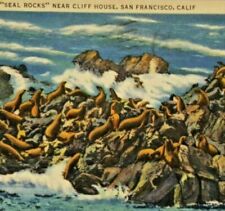 Vintage San Francisco Postcard Seals near Cliff House on Seal Rocks Linen Card picture
