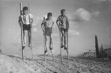 Black and White Photo Boys on Stilts Walking Sticks  8 x 10 Reprint  A-5 picture