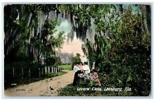 1910 Lovers Lane Group Of Girls Dirt Road Grove Leesburg Florida FL Postcard picture