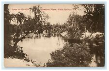 1907 Scene on the Old Suwanee River, White Springs, Florida FL Postcard picture
