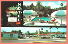 PLUMOSA MOTEL, CLEARWATER, FLORIDA – Swimming Pool - 1962 Postcard picture
