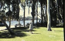 Vintage Photo Slide 1968 Woman In Park Lake picture
