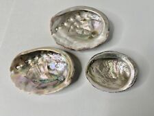 Small Abalone Shell Iridescent Seashell Decorative Smudging Jewelry Lot Of 3 picture