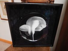 Swid Powel - Robert MAPPLETHORP - Collectors Plate - FRAMED  - Calla Lily - 1984 picture