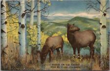 c1950s DENVER MUSEUM OF NATURAL HISTORY Linen Postcard 