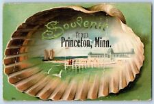 Princeton Minnesota MN Postcard Souvenir Shell Beach Sailboat Birds 1912 Vintage picture