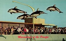 Postcard Marineland of Pacific Oceanarium Dolphins Palos Verdes California #2 picture