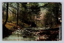 Cleveland OH-Ohio, Doan Brook, Wade Park, Antique, Vintage c1910 Postcard picture