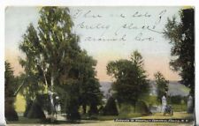 VTG Postcard - 1911 Entrance to Woodlawn Cemetery - Elmira, New York NY picture