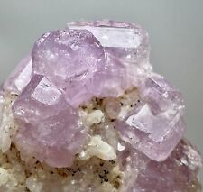 28 Ct. Rare Fluorescent Purple Apatite Crystals Bunches On Matrix From Pakistan picture
