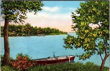 Camp Lake MI-Michigan, Scenic Greetings Harbor Lights, Vintage Postcard picture