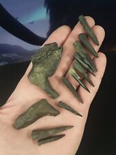 Fossil Enchodus fangs jaw  Super Fossils Cretaceous  N Ms fish teeth  Collection picture