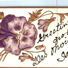 c1910s Des Moines IA Greetings Embossed Crushed Mica Glitter Powder Postcard A65 picture