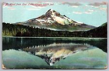 Mount Oregon Lost Lake Scenic Mountain Landscape Forest DB Cancel WOB Postcard picture
