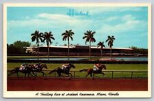 eStampsNet - Hialeah Park Race Track Miami Florida Horses Jockeys Postcard  picture