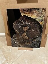 Mohave Trail Hidden Petroglyphs on Glass 16x20 (autographed by Photographer) picture