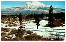 Mount Shasta California Vintage Postcard  picture