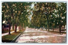 c1910's West Main Street Tree Lined Oconto Wisconsin WI Antique Postcard picture