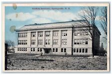 c1910's Griffith Institute Building Exterior Springville New York NY Postcard picture