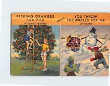 Postcard Picking Oranges for You in Florida Weather Humor Card picture