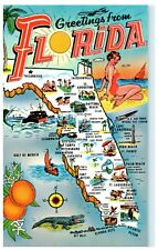 c.1963 Greetings  From Florida Vintage Postcard  picture