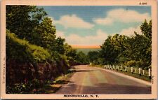 Monticello NY 1947 Country Road Lake Clouds Background Teich Linen Postcard UNP picture