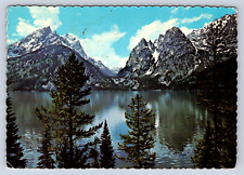 Vintage Postcard Jenny Lake Cascade Canyon Grand Teton Wyoming picture