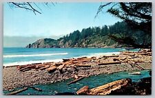 Short Sands Beach Oswald West State Park Oregon Coast Forest Logs VTG Postcard picture