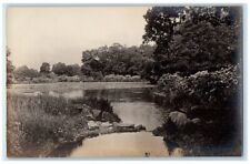 c1910's Sargent Estate Garden Lake Pond View Brookline MA RPPC Photo Postcard picture