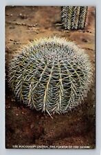 AZ-Arizona, The Pincushion Cactus, Flower, Antique, Vintage Souvenir Postcard picture
