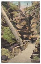 Path in Witches Gulch Dells of the Wisconsin River Hand Colored Postcard Unused picture