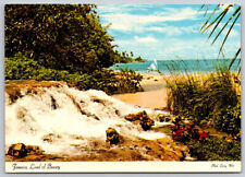 Jamaica Land of Beauty Beach Sailing Postcard Photo by LARRY WITT picture