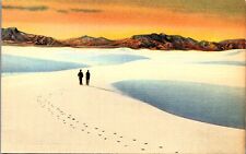 Vintage Postcard Great White Sands National Monument Alamogordo NM  picture