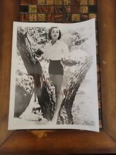Dana Wynter Irving Klaw Archives Movie Star News Vintage Photo 8x10 1970s #1 picture