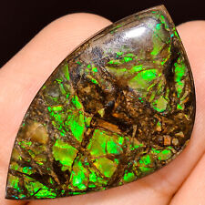 24.50Cts. Natural Play Of Multi Fire Ammolite Fancy Cabochon Loose Gemstone picture