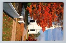 Center Sandwich NH-New Hampshire, Autumn View White Church Vintage Postcard picture