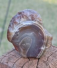 2.1 oz Stunning Colorful Jelly Banded Lake Superior Agate. Mn Gemstone. picture