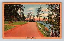 Manton MI-Michigan, General Greetings, Lake Side Drive, Vintage Postcard picture