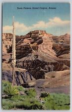 Tonto Plateau Grand Canyon Arizona Az Linen Verkamp Curteich Chiacgo Postcard picture