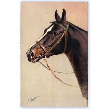 Horse Portrait artist signed Jean-Marie Rivet Edition Stehli VTG Postcard 00621 picture