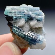 50 Carat Indicolite Tourmaline Crystal Specimen From Afghanistan picture