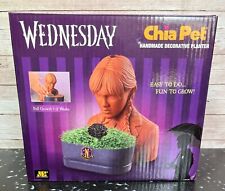 Wednesday Chia Pet Chia Seed Decorative Planter Adams Family picture