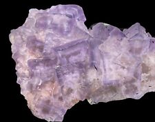 Outstanding Zoned FLUORITE (Great Phantoms) *Caravia, Asturias, Spain* picture